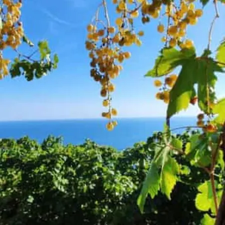 Prázdninový dům Sabrina Maison Chic Casa Di Giulia Alle Cinque Terre Riccò del Golfo di Spezia
