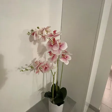 Sabrina Maison Chic Cinque Terre 펜션